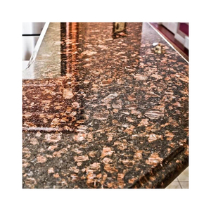 Azulejo de losa de granito pulido natural a un precio competitivo Diseño moderno atractivo para uso en pisos al aire libre - Product Image 1