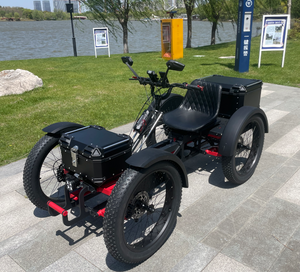 Bicicleta Eléctrica de Cuatro Ruedas SMD-A04 48V30AH X2 con Motor de Torque Medio de 1000W y Transmisión Shimano de 7 Velocidades BAFANG - Product Image 3