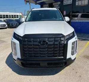Hyundai Palisade 2024 impecablemente limpio - Product Image 1