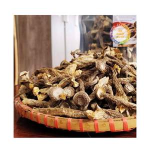 VIETNAM PRIX BON MARCHÉ HAUTE QUALITÉ CHEVRE DE CERF SÉCHÉ Offre Spéciale DE CHAMPIGNON 2025 NOUVELLE CULTURE CHEVRE DE CERF CHAMPIGNON QUALITÉ D'EXPORTATION RTS - Product Image 1