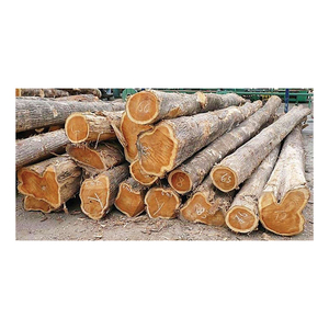 Gỗ padouk cao cấp được cung cấp với số lượng lớn cho các dự án nội thất và trang trí - Product Image 5