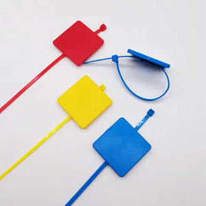 Usine personnalisable UHF RFID Nylon Cable Tie Tag 860-960MHz Fréquence ABS Matériel Zip Tie - Product Image 6