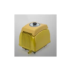 High-Efficiency Air Pump for Ozone Equipment with No Oil Lubrication