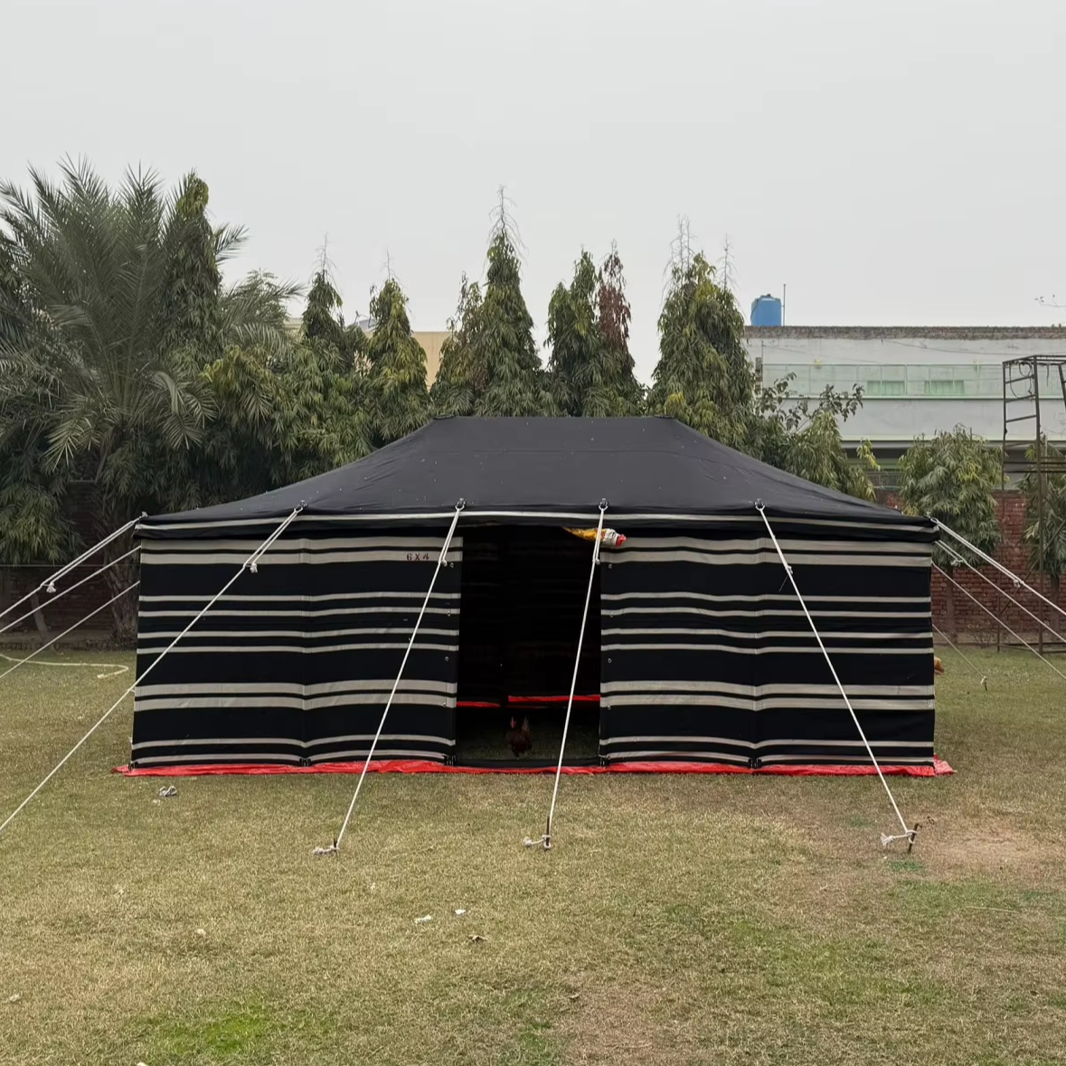 swag tent usa Kodiak Canvas 1 Person Canvas W/ Sleeping Pad Kauf keinen Schlafsack, bevor 1st gen tundra 100% cotton duck canvas Ausführung:Zweisitzer