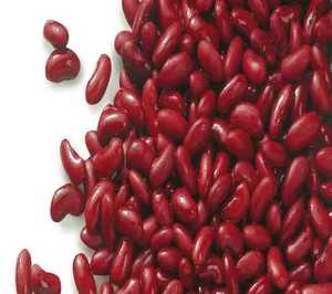 Frijoles Blancos Austriacos de la Más Alta Calidad, Secos Naturales, Ligeros, Buen Precio, a Granel, 25 kg, Blancos con Motas, 24 Meses de Vida Útil, Alimentos de EE. UU. - Product Image 1