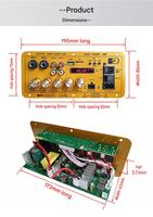 D400 Güç Amplifikatörü Kartı için TWS Çift MIC USB TF Girişi Uzaktan Kumanda 12V Pil Şarjı 24V 220V Sistemleri