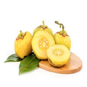 Garcinia Camboya Precio al por mayor Garcinia Camboya Polvo Garcinia Camboya Extracto - Product Image 1