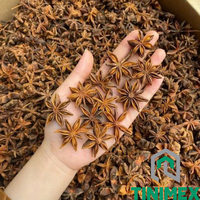 Diviseur de vente directe de haute qualité Anis étoilé/Anason stelat/Bunga lawang (WA: + 84362512699)