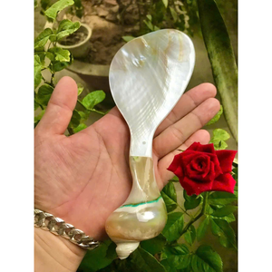 Cuillères en nacre et coquillage de haute qualité: artisanat de conque de luxe, de vente en gros, réutilisable et écologique - Product Image 3