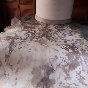 appears to be a natural goat skin used as a <b>drum</b> head <b>drums</b> including Irish Bodhrans, Djembes and <b>Shaman</b> <b>drums</b> - Product Image 4