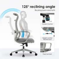 Chaise de bureau ergonomique moderne en maille avec base en PP, pivotante, réglable en hauteur, avec support lombaire pour la maison et le bureau