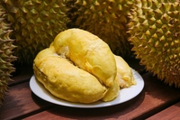 Verse Premie Durian Fruit Van Vdelta Exporteur Viet Nam