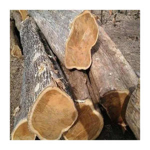 Grumes de bois cempedak de qualité supérieure fournies en vrac pour le mobilier et l'intérieur - Product Image 6