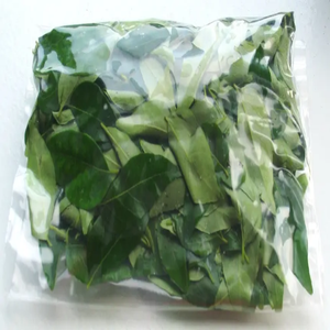 Extracto de hojas de curry en polvo - Product Image 5