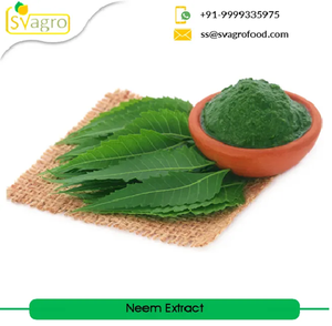 Poudre d'extrait de feuille de Neem pur Antioxydant naturel et soutien immunitaire Supplément à base de plantes pour la peau, les cheveux et la désintoxication 100% naturel - Product Image 3