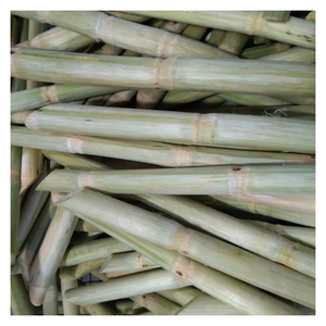 อ้อยแช่แข็งสดฉ่ำและหวานจากเวียดนาม99GD สดพร้อมน้ำอ้อยแช่แข็งรสธรรมชาติพร้อมสำหรับน้ำผลไม้และส่งออกคำสั่งซื้อ - Product Image 4