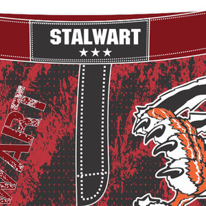 Personnalisé vous propre conception Powerlfitng Sublimation Mesh Gym - Product Image 6