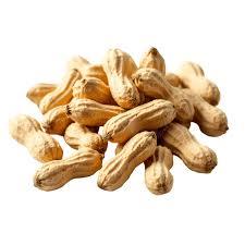 Arachides décortiquées biologiques fraîches de la ferme naturelles disponibles à des prix compétitifs - Product Image 5