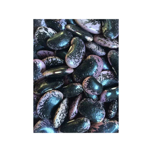 Compre los mejores frijoles negros orgánicos 2023 al mejor precio - Product Image 3