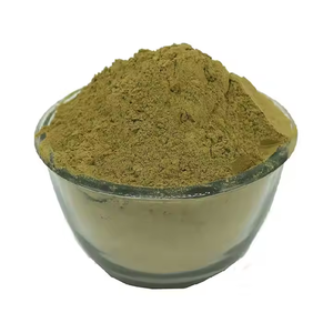 Vente en gros de poudre d'elaichi chhoti de haute qualité poudre d'extrait de cardamome pure 100% production en vrac biologique - Product Image 3