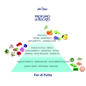 Blu Home 250 ml (Caja con 24 unidades) Ambientadores en Aerosol con Aroma a Flor de Bergamota, Difusor de Perfume para Habitaciones y Telas - Product Image 2