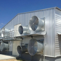 Système de ferme avicole automatique en bâtiment fermé pour bétail 150*12*3m