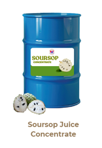 Concentré de jus de fruits naturel 100% avec le meilleur prix du meilleur fournisseur vietnamien - Product Image 5