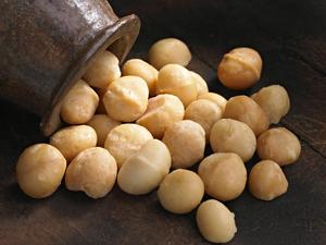 NUECES DE MACADAMIA PRODUCTO DE VIETNAM Precio razonable Alta calidad para ventas al por mayor del proveedor 2023 MARY - Product Image 3