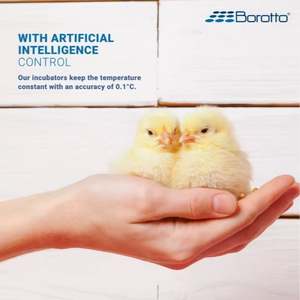 Incubateur d'oeufs professionnel automatique Real 49-Pour les oeufs-Incubateur d'oeufs 49 de grande taille d'occasion fabriqué en Italie - Product Image 6