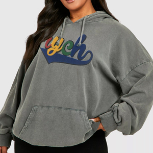 Sweat à capuche long en peluche d'hiver pour femmes avec manches longues et cordon de serrage en gros respirant coupe ample sweat à capuche de sport chaud - Product Image 2