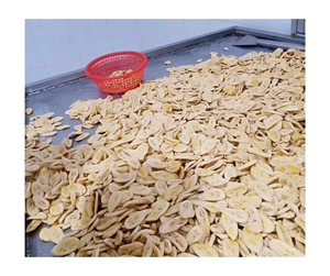 ชิปกล้วยอบแห้งกรอบแบบ VF ชิปกล้วยเกรดพรีเมี่ยมสำหรับขนมขบเคี้ยวหวานกรอบ - Product Image 6