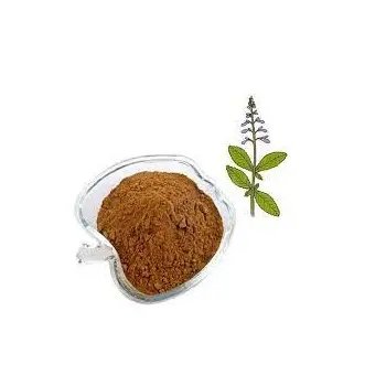 Ekstrak Herbal coleus forskohlii ekstrak akar forskolin bubuk coleus forskohlii ekstrak alami dari India