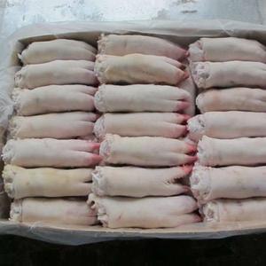 Compre Orejas de Cerdo Congeladas al por Mayor / Patas Delanteras de Cerdo Congeladas / Piernas Traseras de Cerdo de Francia, Proceso LQF, Mejor Calidad, Nutritivas - Product Image 6