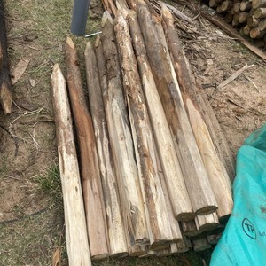 Piquets ronds en bois naturel pour le soutien des plantes de jardin, piquets en bois pour plantes, jardinage, aménagement paysager, pépinière, agriculture, décoration extérieure - Product Image 1