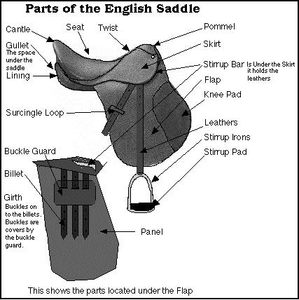 Top Trending English Race Saddle Jumping Saddle Set Sillín de caballo de cuero genuino Logotipo personalizado Hecho EN LA India - Product Image 6