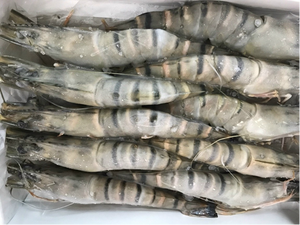 Top vente crevettes vannamel congelées vietnamiennes de haute qualité à bon prix - Product Image 3