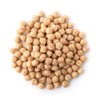 Meilleures qualités d'Italie : Pâtes de pois chiches Kabuli séchées 7mm-14mm, emballage sous vide, en vrac, durée de conservation 24 mois, à prix abordable