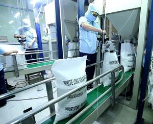 Riz au jasmin standard - Product Image 1