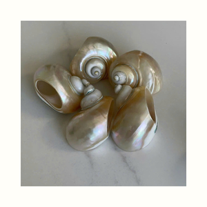 Anillo de Servilleta Turbo con Forma de Concha Marina, Utilizado para Decoración de Mesa de Comedor, Catering y Eventos - Product Image 5