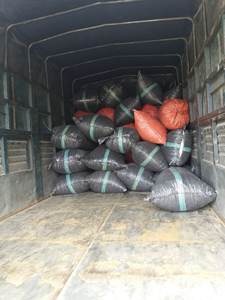 Hojas de Guanábana secas vietnamitas naturales de la mejor calidad 100% para té de hierbas a buen precio - Product Image 6