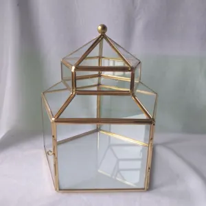 New Arrival Traditional Exclusive Customized Design With Clear Glass Metal Fame In Gold Finish Storage Terrarium Home & Office
