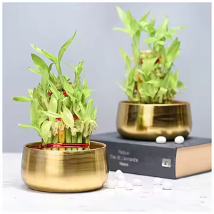 Maceta de metal brillante dorado Maceta con soporte dorado Maceta de metal Accesorios decorativos de jardín Maceta a precio asequible - Product Image 1