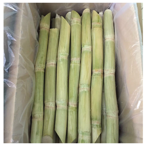 Segments de canne à sucre entiers congelés et jus de canne à sucre du Vietnam - Product Image 3