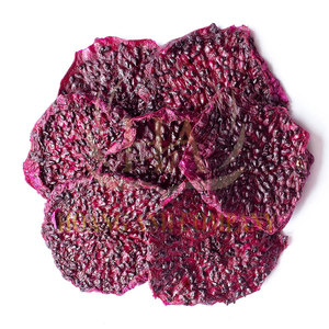Fruit du dragon séché biologique frais et de haute qualité Prix compétitif du Vietnam - Product Image 2