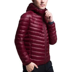   Nouvelle Arrivée - Veste Homme Légère 90% en Duvet, Couleur Unie, à Capuche, Parka Matelassée, Col Montant, Qualité Supérieure, Toile, Vente Directe Usine 2026 - Product Image 1