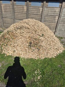 Copeaux de bois bon marché en vrac - Combustible biomasse d'acacia de haute qualité pour approvisionnement en gros - Product Image 6