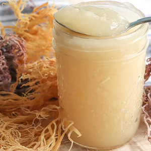 Sea Moss Raw - Natural, limpio y fresco para beneficios de salud-Sra. Beatrix - Product Image 1