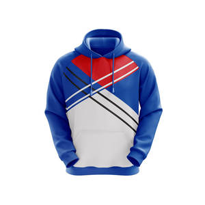 Sweats à capuche pour hommes poids lourd 100% coton broderie personnalisée Logo haute qualité Double couche en gros personnalisé nouvelle mode - Product Image 2