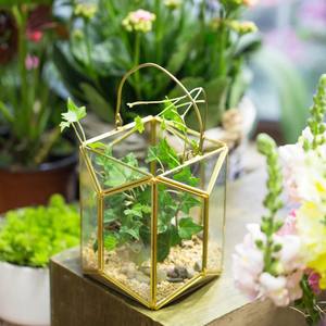 Jardinière suspendue en verre et métal doré de luxe, design géométrique élégant, panneaux transparents, présentoir stylé pour plantes d'intérieur, décoration de la maison - Product Image 4