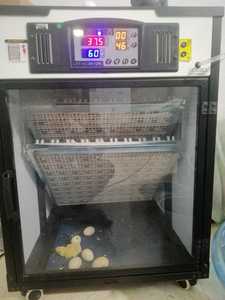 Máy ấp trứng tự động chất lượng cao Việt Nam, Máy ấp trứng ấp trứng thiết bị nuôi-Sản xuất tại Việt Nam - Product Image 3